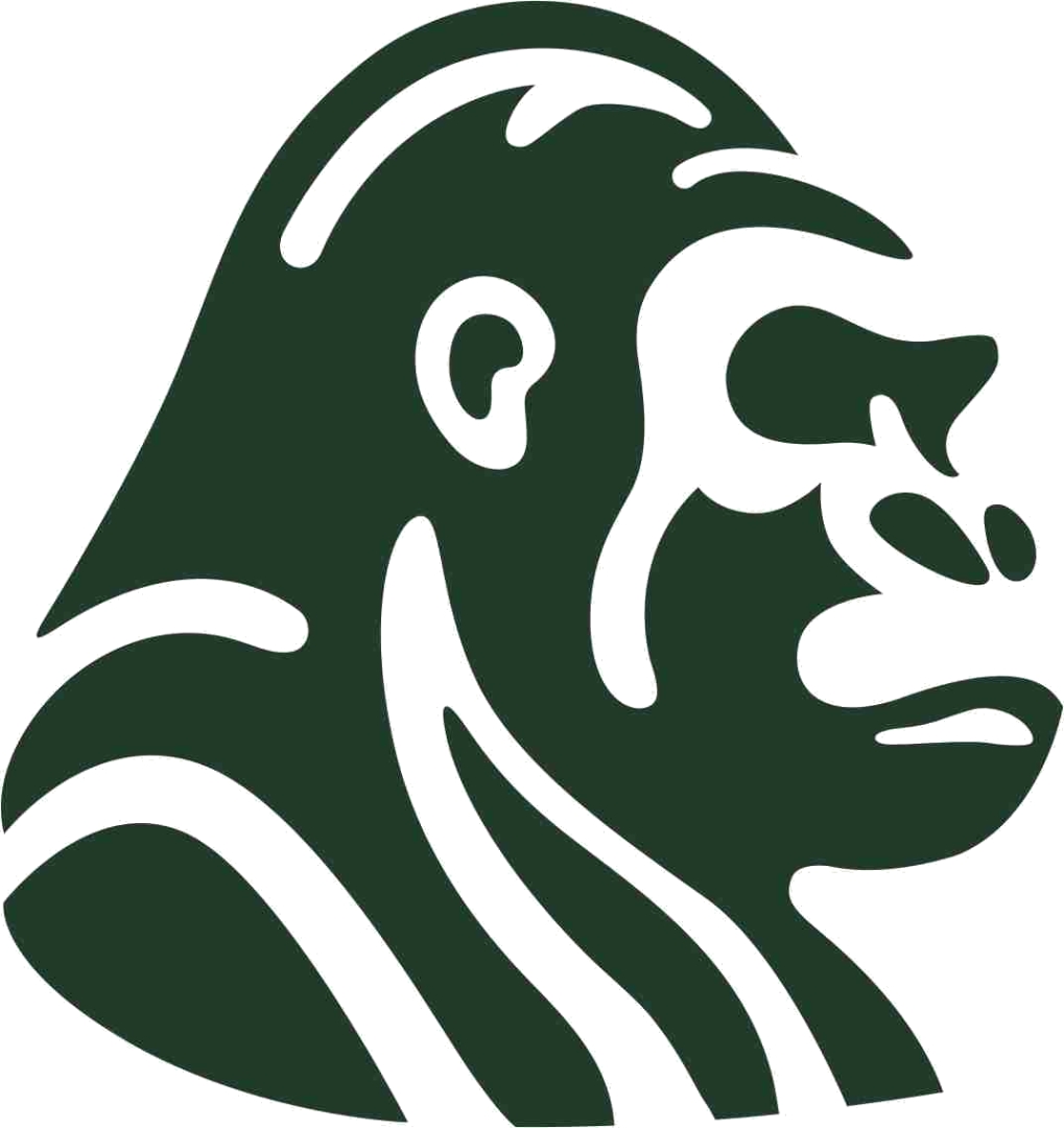 Best Gutter Cleaner in Sydney: GutterGorilla Raises the Standard for Professional Gutter Maintenance