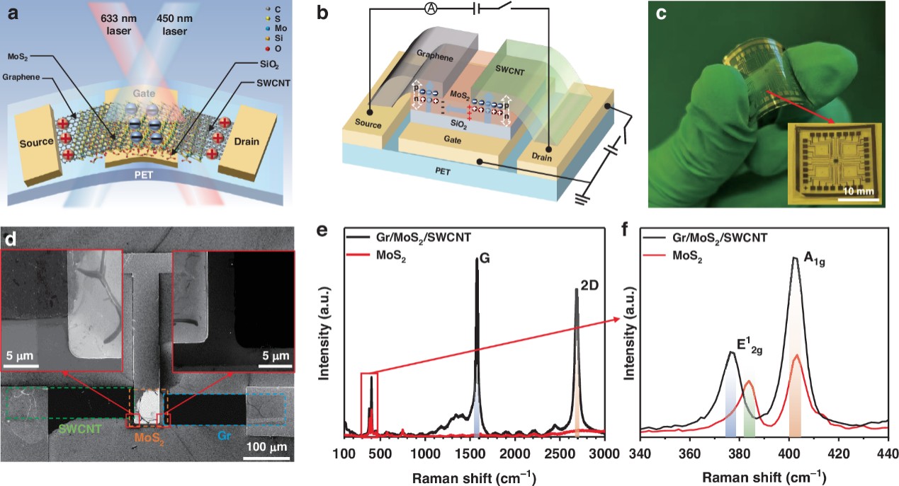 A flexible photodetector that selects wavelengths by voltage, not filters