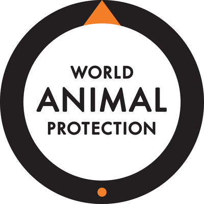 Two out of three elephants exploited for tourism suffer in poor living conditions, new World Animal Protection report finds