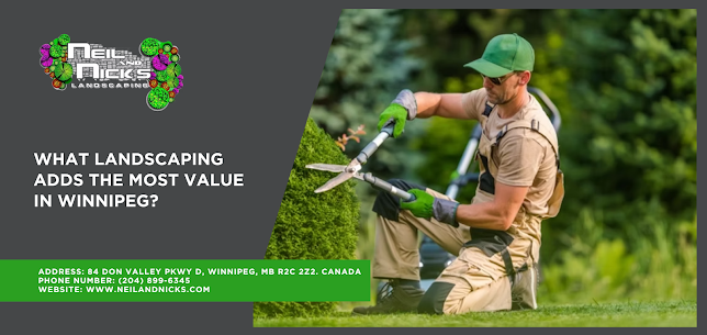 Landscaping Features That Influence Property Value in Winnipeg